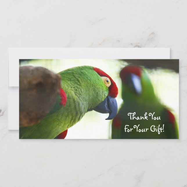 Thank You, Photo Card (Front)