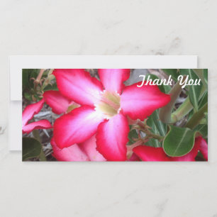 Thank You photo card - Desert Rose