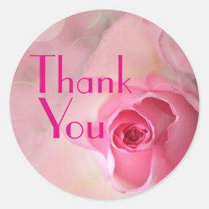 Thank You/Pink Rose Classic Round Sticker