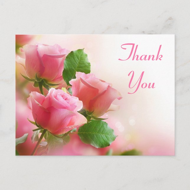 Thank You Pink Rose Flower Blank Floral Post Card (Front)