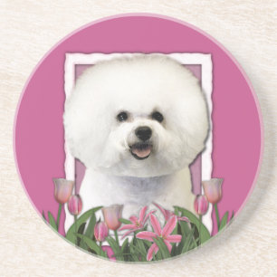 Thank You - Pink Tulips - Bichon Frise Coaster