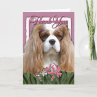 Thank You - Pink Tulips - Cavalier - Blenheim
