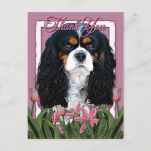 Thank You - Pink Tulips - Cavalier - Tri-Colour Postcard