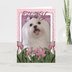 Thank You - Pink Tulips - Maltese Card