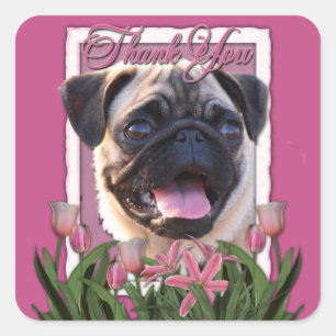 Thank You - Pink Tulips - Pug Square Sticker