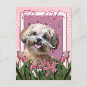 Thank You - Pink Tulips - ShihPoo - Maggie Postcard