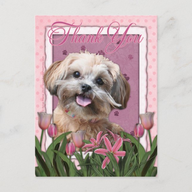 Thank You - Pink Tulips - ShihPoo - Maggie Postcard (Front)