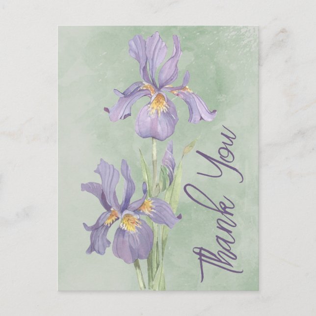 Thank You Postcard (Front)