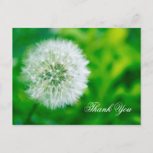 Thank You Postcard