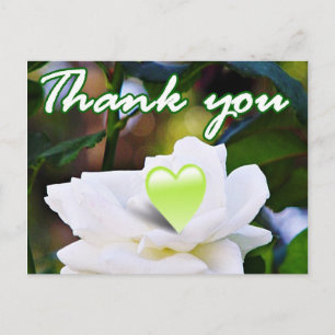 Thank You Postcard
