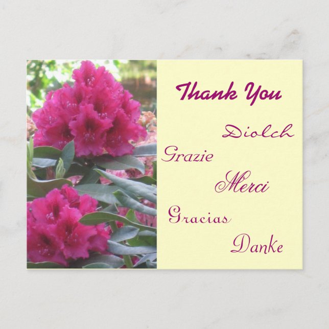 Thank You Postcard (Front)