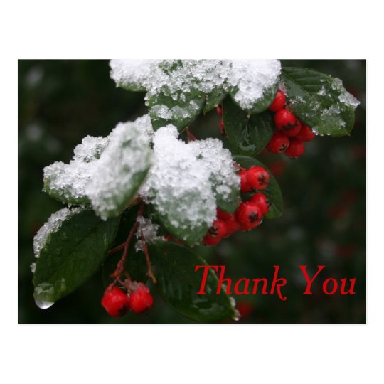 Thank You Postcard: Winter Postcard
