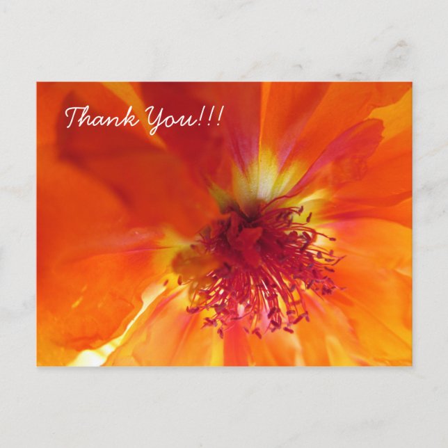 Thank You Postcard with orange flower (Front)