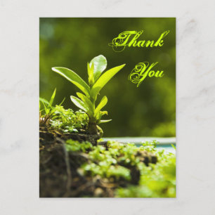 Thank you - postcards