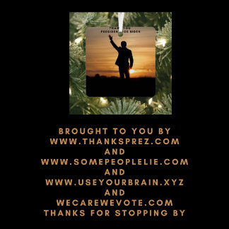 Thank you President Joe Biden Metal Ornament