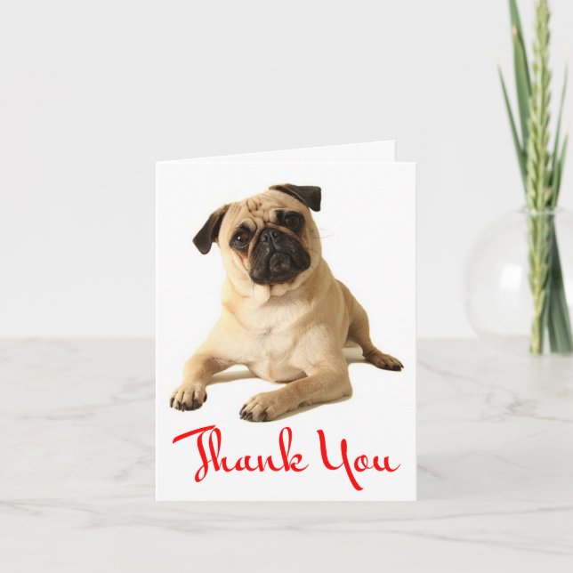 Thank You Pug Puppy Dog Blank Note Card (Front)