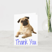 Thank You Pug Puppy Dog Blank Note Card