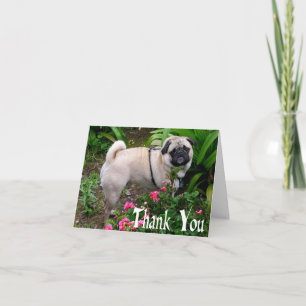 Thank You Pug Puppy Dog Blank Note Card