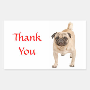 Thank You Pug Puppy Dog Greeting Stickers