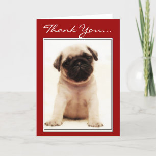Thank You Pug puppy greeting card