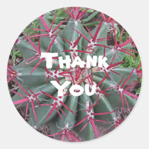Thank You Red Green Barrel Cactus Appreciation Classic Round Sticker