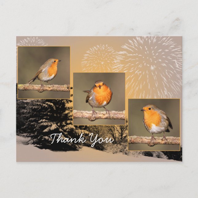 Thank You Robin Tryptych Postcard (Front)