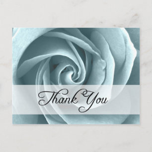 thank you : roses : postcard