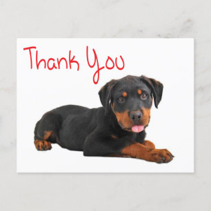 Thank You Rottweiler Puppy Dog Greeting Postcard