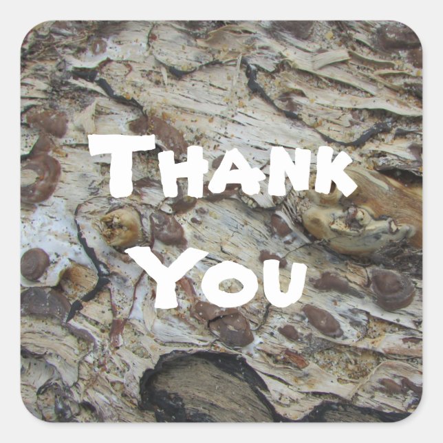 Thank You Rustic Driftwood Pattern Appreciation Square Sticker (Front)
