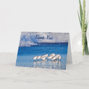 Thank You Sandpipers Beach Birds Card