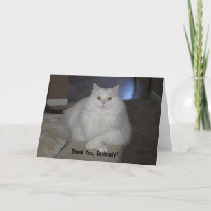 Thank You, Seriously! Thank You Card