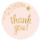 Thank You Shooting Star Pink Gold Baby Shower