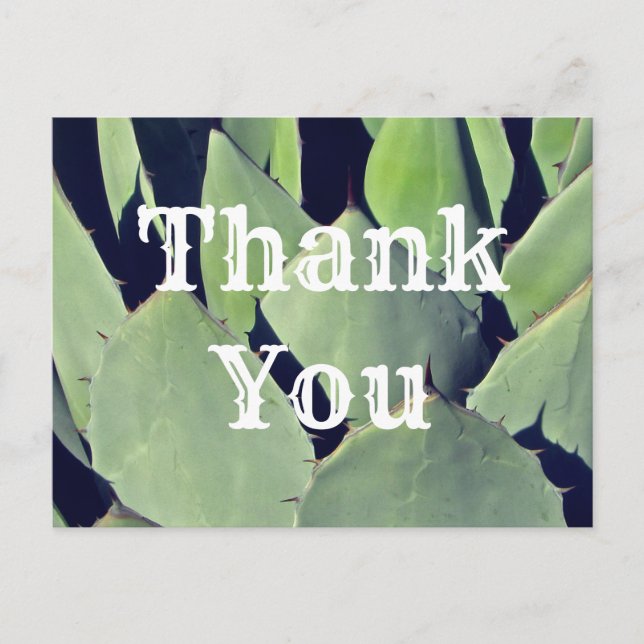 Thank You Southwestern Style Agave Appreciation Postcard (Front)