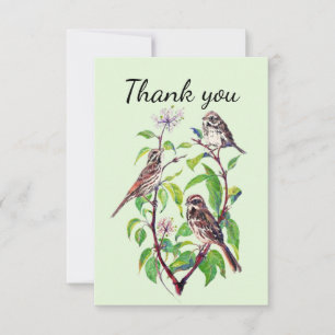 Thank You Sparrow Garden Bird Nature Art