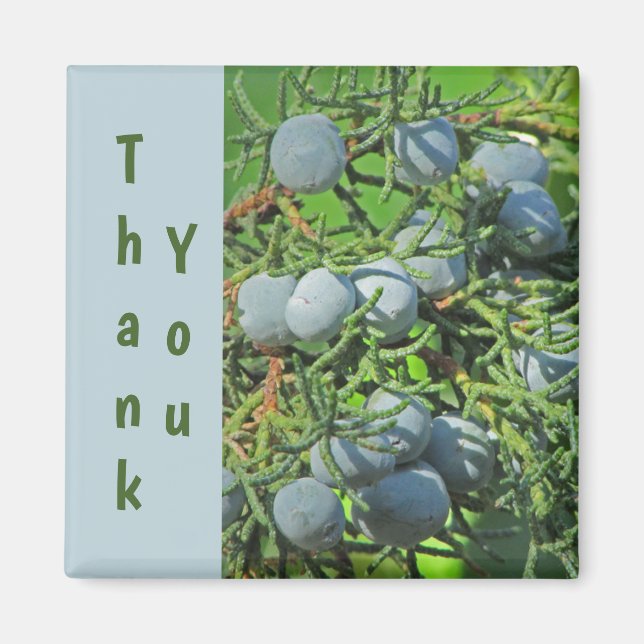 Thank You Spring Pine Berries Photo Appreciation Magnet (Front)