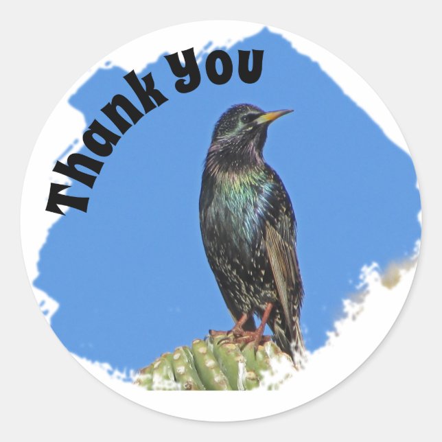 Thank You Starling and Cactus Appreciation Classic Round Sticker (Front)