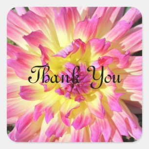 Thank You stickers