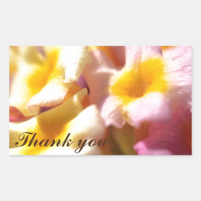 Thank You stickers (Front)