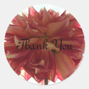 Thank You stickers
