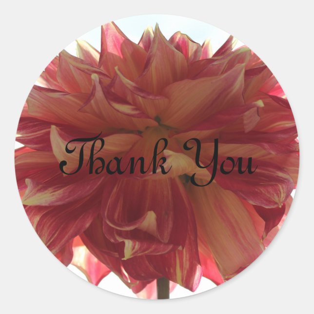 Thank You stickers (Front)