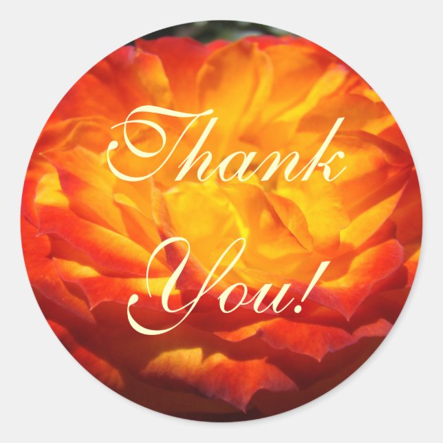 Thank You! stickers Bright Orange Rose Flower art (Front)
