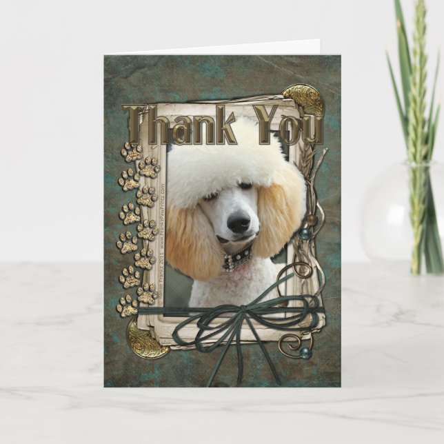 Thank You - Stone Paws - Poodle - Apricot (Front)