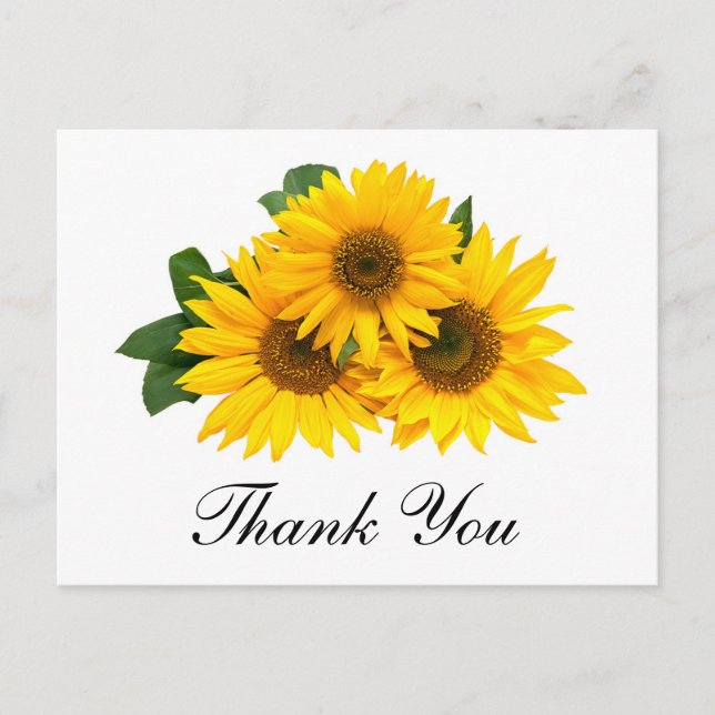 Thank You Sunflower Floral Greeting Post Card (Front)