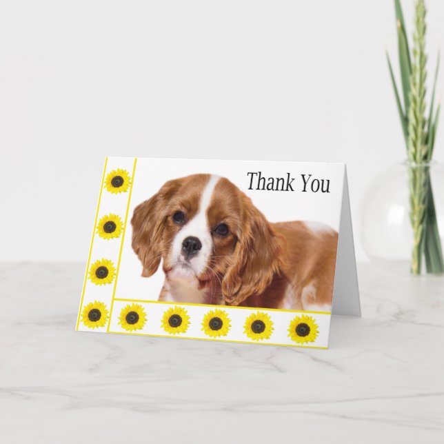 Thank You Sunflowers Cavalier King Charles Spaniel (Front)