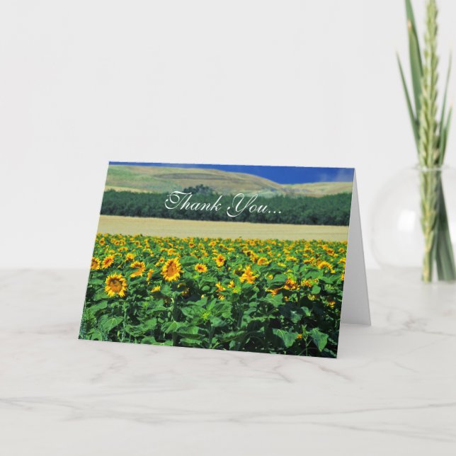 Thank you...Sunflowers Thank You Card (Front)