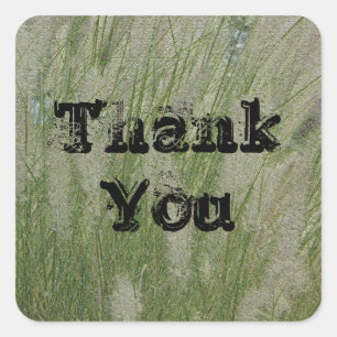 Thank You Tall Desert Grass Appreciation Square Sticker