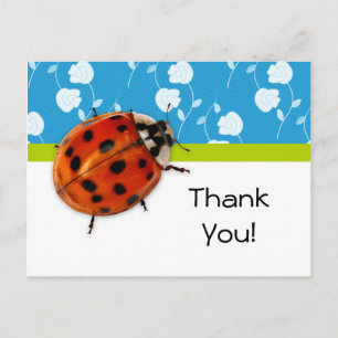 Thank You Trendy Blue Floral Ladybug Postcard