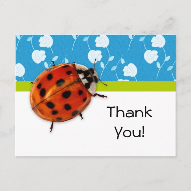 Thank You Trendy Blue Floral Ladybug Postcard (Front)