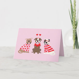 Thank You Valentines Day American Pit Bull Terrier