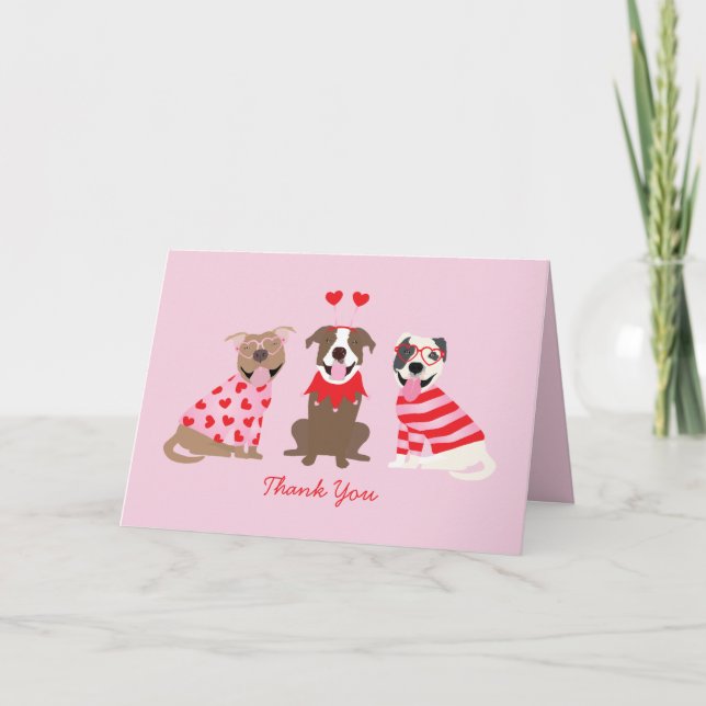Thank You Valentines Day American Pit Bull Terrier Card (Front)